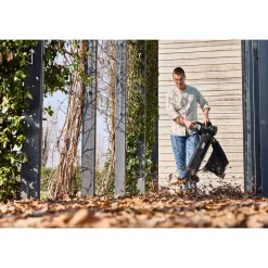 Alpina-Garden Alpina Garden Akku-Laubsauger und Bläser AVS 20 Li inkl Akku und Ladegerät