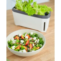 Anzuchtgefäß Harry Herbs mit Deckel weiß