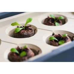 Anzuchtgefäß Harry Herbs mit Deckel weiß