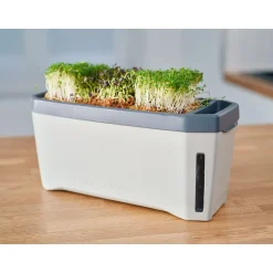 Anzuchtgefäß Harry Herbs mit Deckel hellgrau