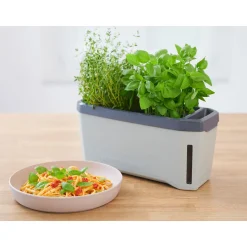 Anzuchtgefäß Harry Herbs mit Deckel hellgrau