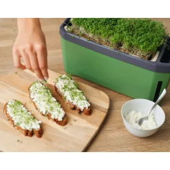 Anzuchtgefäß Harry Herbs mit Deckel dunkelgrün