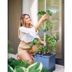 Anzuchtsgefäß Tom Tomato blau