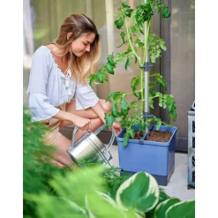 Anzuchtsgefäß Tom Tomato blau