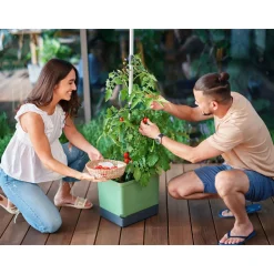 Anzuchtsgefäß Tom Tomato dunkelgruen