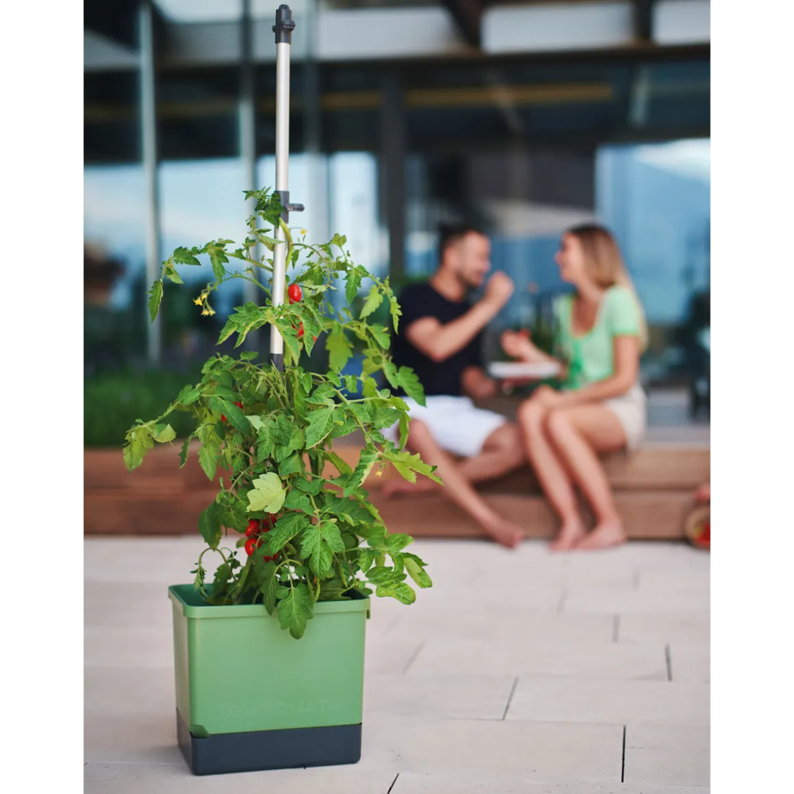 Anzuchtsgefäß Tom Tomato dunkelgruen