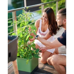 Anzuchtsgefäß Tom Tomato dunkelgruen