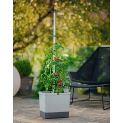 Anzuchtsgefäß Tom Tomato hellgrau