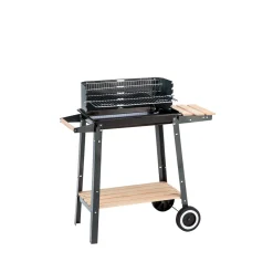 Basic Holzkohlegrill Austin