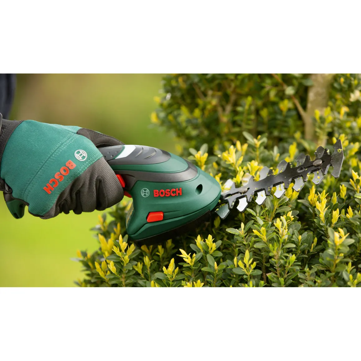 Bosch Gras-und Strauchschere Isio