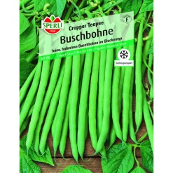Buschbohne Cropper Teepee