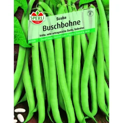 Buschbohne Scuba