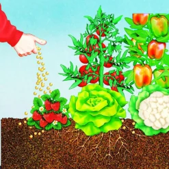 Compo BIO Hochbeet Langzeit-Dünger mit Schafwolle 750 g