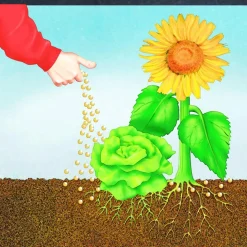 Compo BIO NaturDünger Guano 3 L