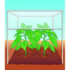 Compo BIO Tomaten- und Gemüseerde torffrei 40 L