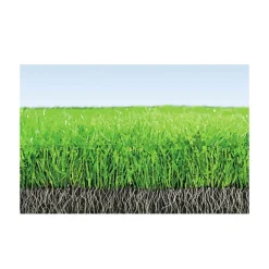 Compo Rasendünger mit Langzeitwirkung Aktion 13,75 kg