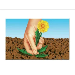 Compo Rasensaat Spiel und Sport Aktion 4 kg