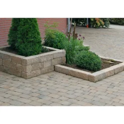 Diephaus Mauersteine Cup 30 x 10 x 10 cm Muschelkalk PE3