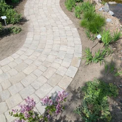 Diephaus Pflaster Antik Muschelkalk 21 x 14 x 7 cm 1,05 m2 pro Lage