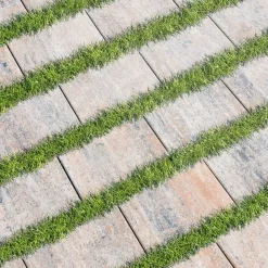 Diephaus Pflaster Edition Eco muschelkalk 30 x 20 x 6 cm