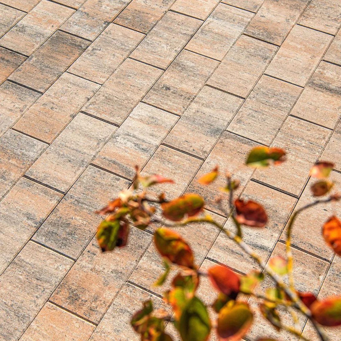 Diephaus Terrassenplatte No. 1 Light muschelkalk 40 x 20 x 4 cm