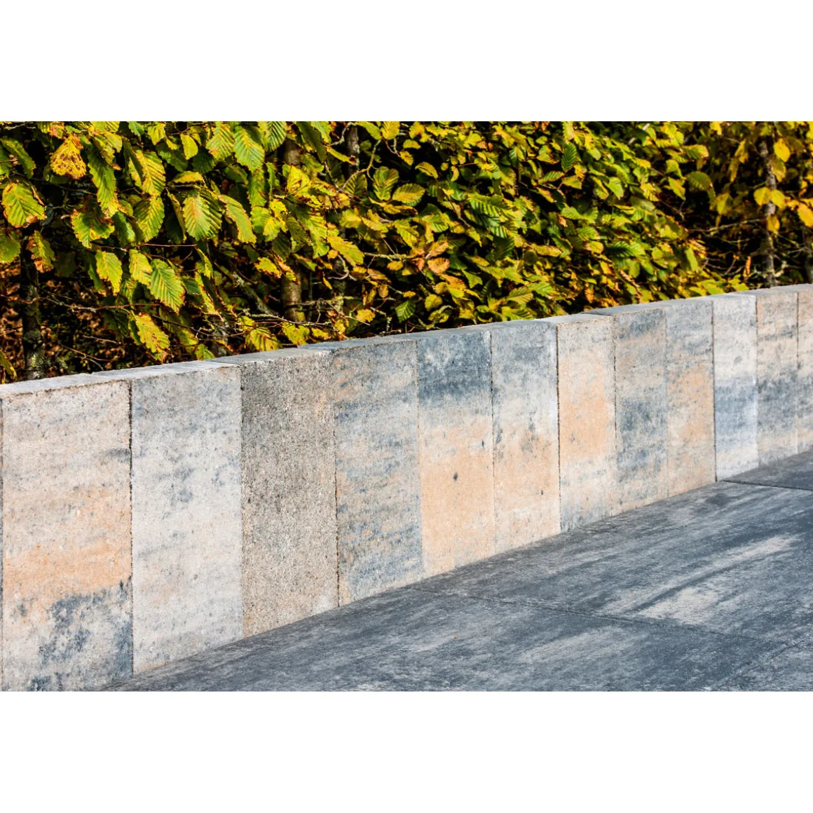 Diephaus Top Palisade Muschelkalk 30 x 15 x 4 cm