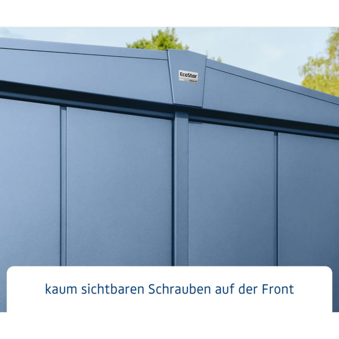 EcoStar Gerätehaus Elegant-STyp 3RAL5014 1 flg