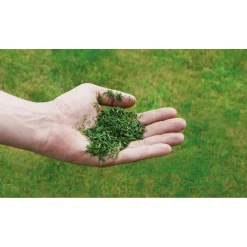 Einhell Benzin-Rasenmäher GC-PM 56/2 S HW