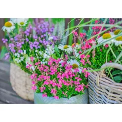 Glockenheide Topf- Durchmesser 11 cm