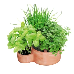 Haveson Kräuterspirale Mediterrano 40 x 25 x 20 cm