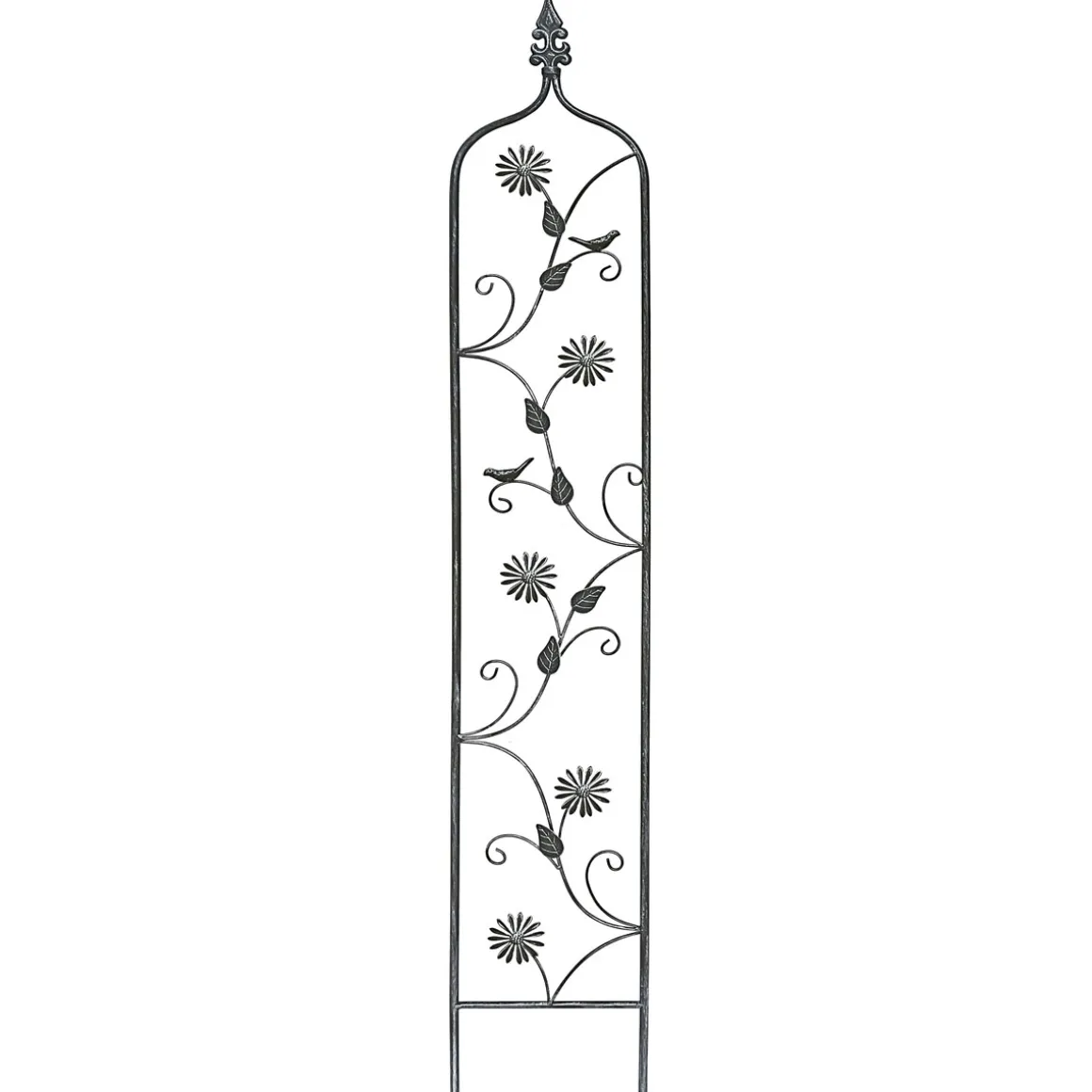 Haveson Rankstecker FLORA 151 cm