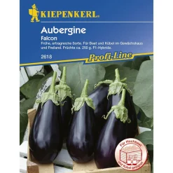 Kiepenkerl Aubergine Falcon