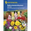 Kiepenkerl Balkonkastenblumen Mischung Profi-Line