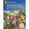 Kiepenkerl Balkonkastenblumen Pflegeleichte Sonnenkinder Profi-Line