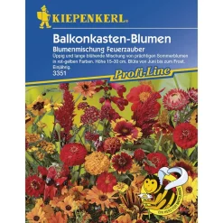 Kiepenkerl Balkonkastenblumen Feuerzauber Profi-Line