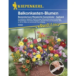 Kiepenkerl Balkonkastenblumen Sonnenkinder