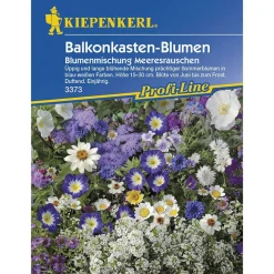 Kiepenkerl Balkonkastenblumen Meeresrauschen Profi-Line