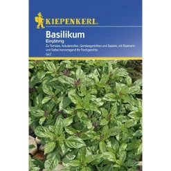 Kiepenkerl Basilikum feinblättrig einjährig