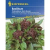 Kiepenkerl Basilikum Siam Queen Profi-Line