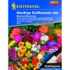 Kiepenkerl Blumenmischung Niedrige Duftblumen Saatteppich