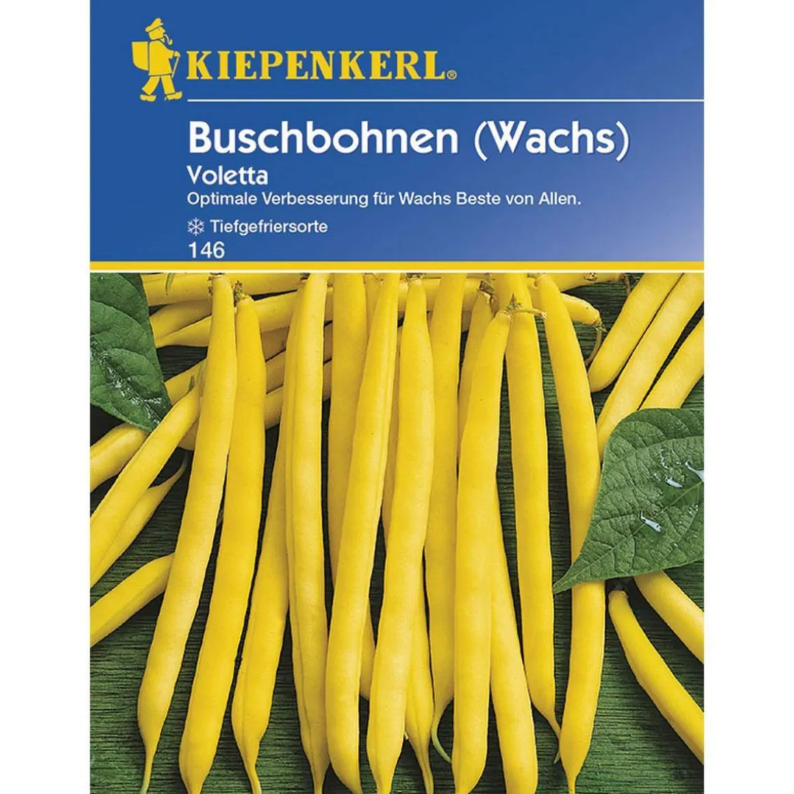 Kiepenkerl Buschbohnen Voletta
