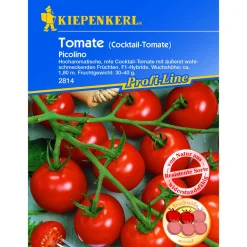Kiepenkerl Cocktailtomate Picolino F1