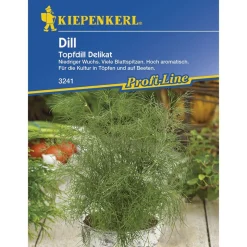 Kiepenkerl Dill Topfdill Delikat Profi-Line