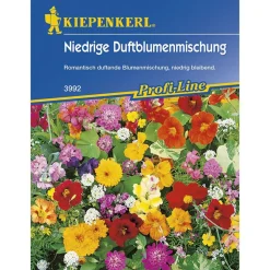 Kiepenkerl Duftblumenmischung niedrige Duftender Steingarten Profi-Line