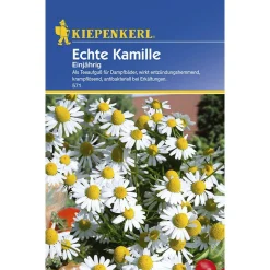 Kiepenkerl Echte Kamille einjährig