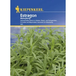 Kiepenkerl Estragon mehrjährig