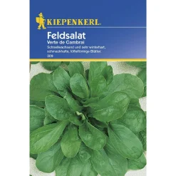 Kiepenkerl Feldsalat Verte de Cambrai
