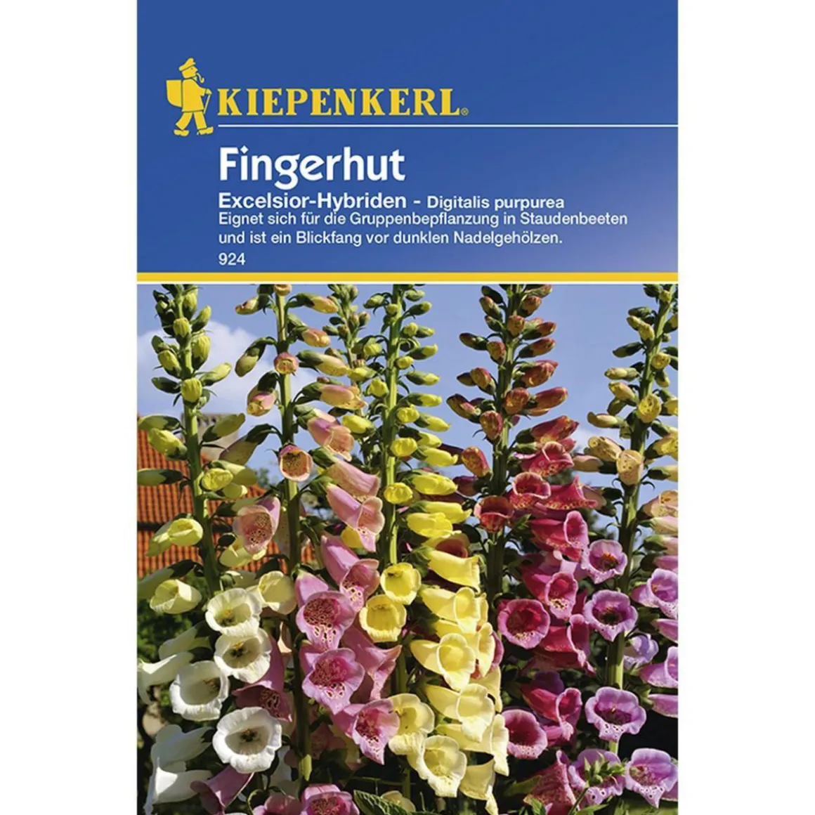 Kiepenkerl Fingerhut Excelsior-Hybriden