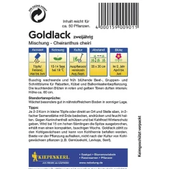 Kiepenkerl Goldlack Mischung