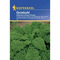 Kiepenkerl Grünkohl Halbhoher grüner krauser